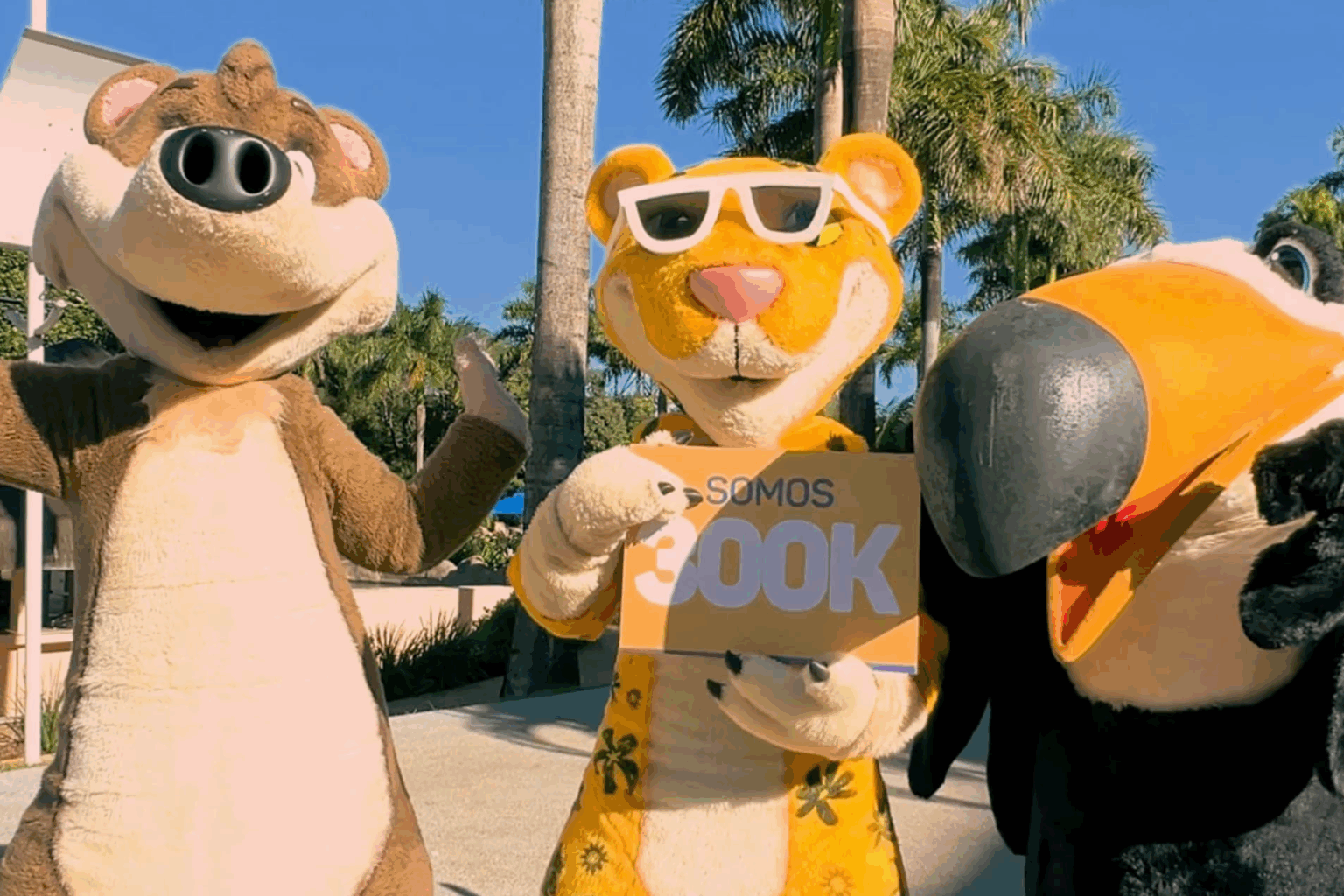 Grupo Mabu comemora 300 mil seguidores no Instagram com promoção especial de 30% de desconto