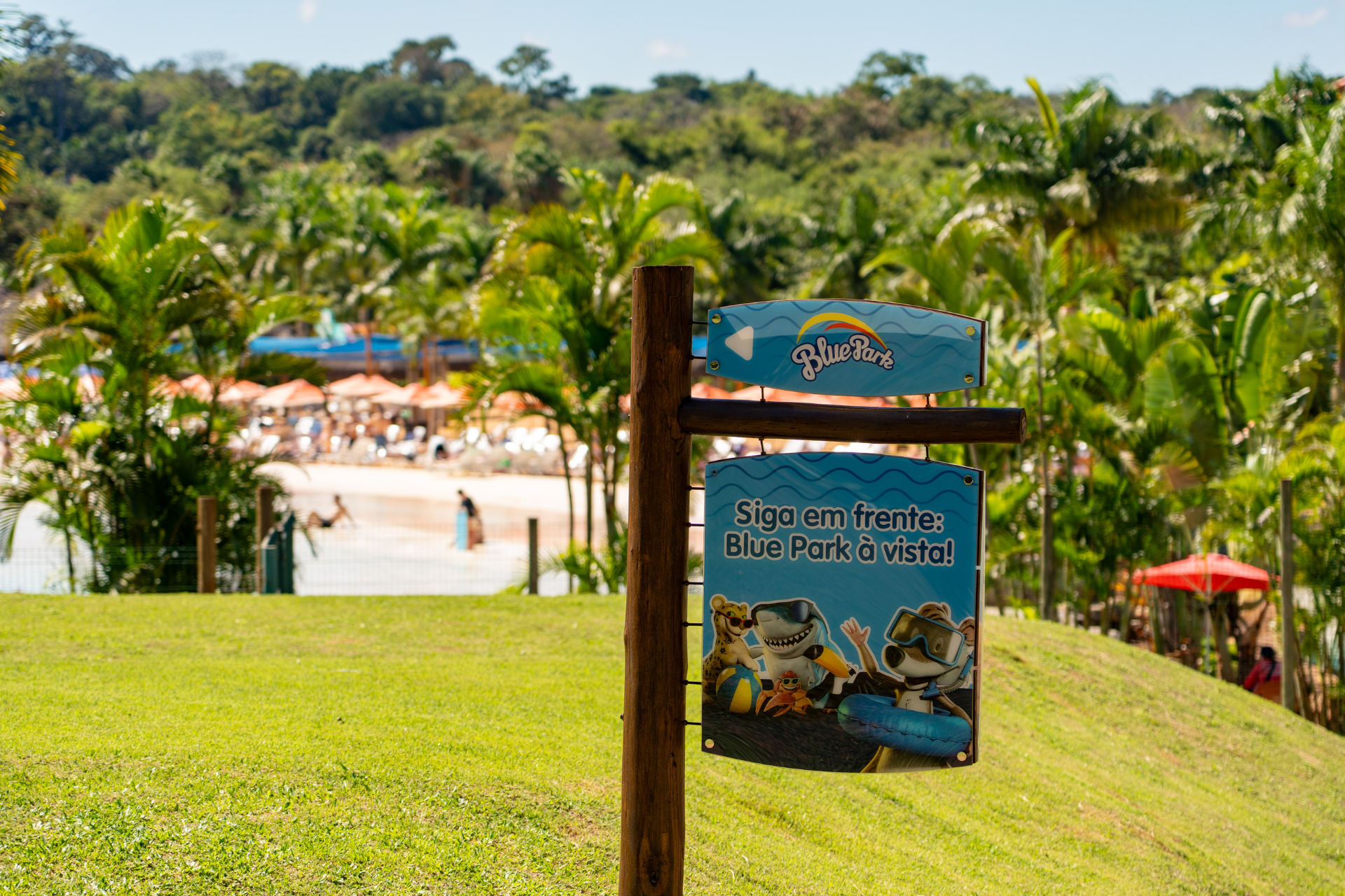 Hóspedes do Mabu têm acesso exclusivo ao Blue Park, um dos maiores parques aquáticos do Sul do Brasil