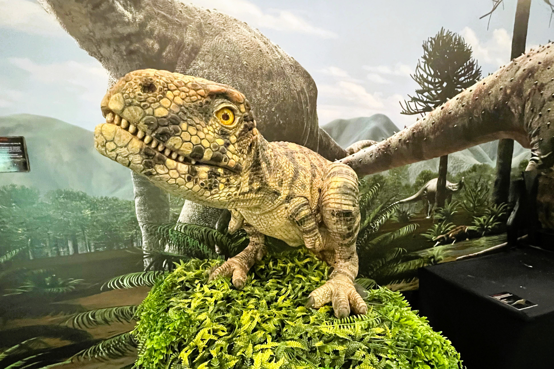 Dinossauros invadem o Mabu Thermas em evento jurássico-científico