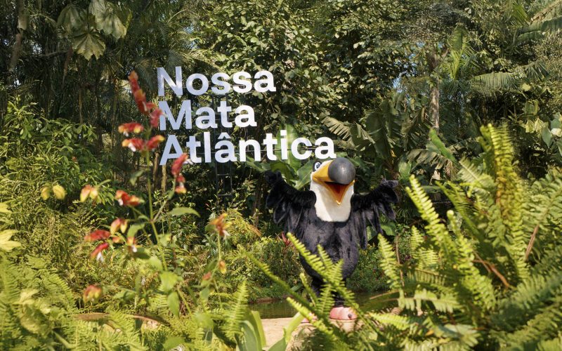 Roteiros Indispensáveis em Foz do Iguaçu + dicas úteis para você